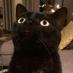 Meet your Posher, Jana